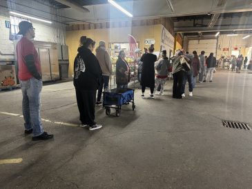 article image - Kaufmann Windows 1